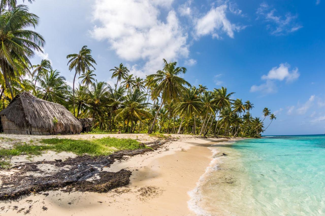 San Blas Wild Bed & Breakfast Mamartupo Екстериор снимка